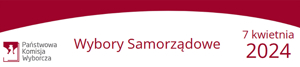 Wybory-Samorzadowe.jpg