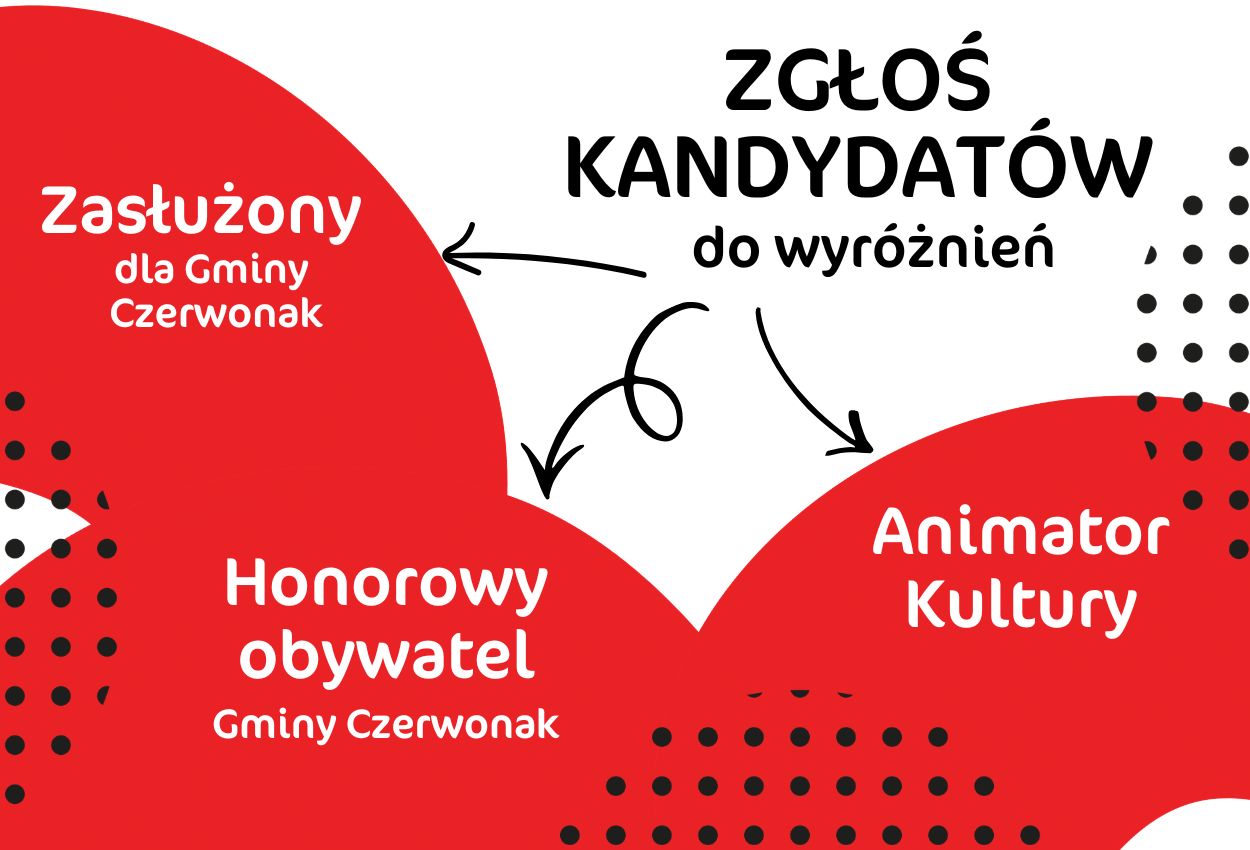 zasłużony_honorowy_animator_.jpg