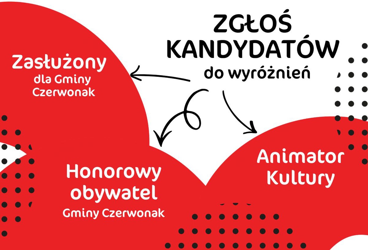 zasłużony_honorowy_animator_.jpg