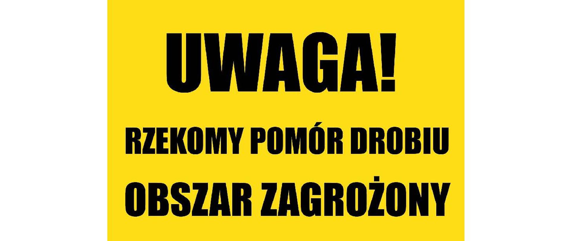 1920x810.jpg