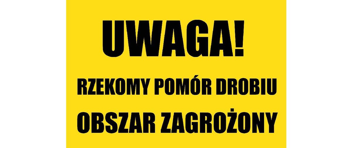 1920x810.jpg