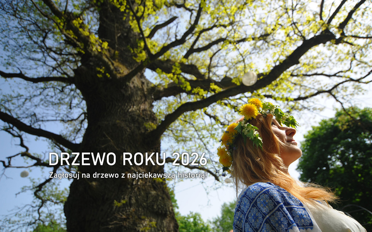 drzewo-roku-intro.jpg