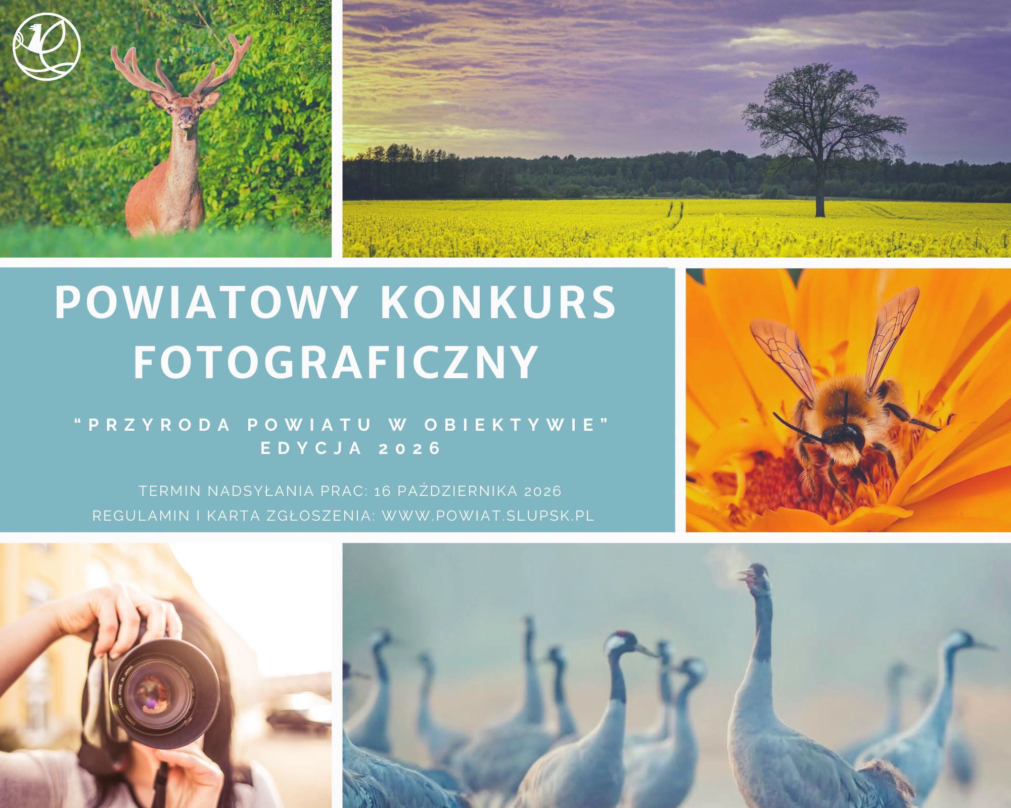 konkurs foto słupsk.jpg