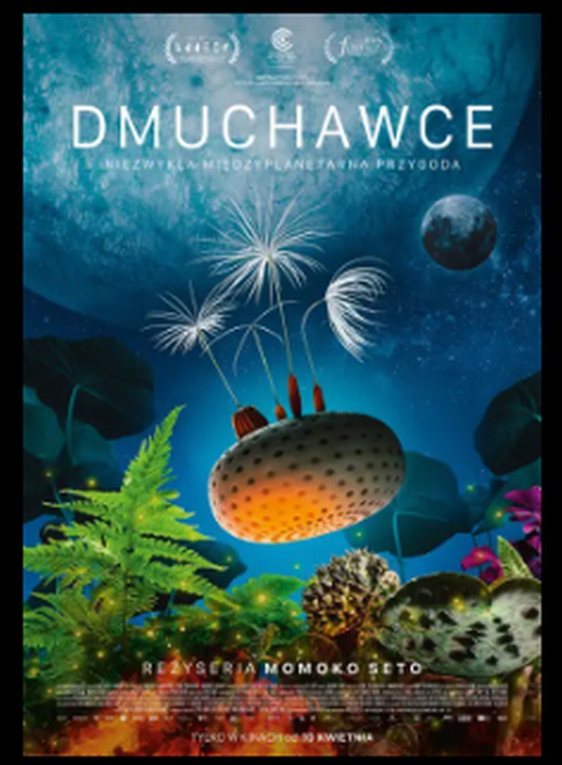 dmuchawce.jpg