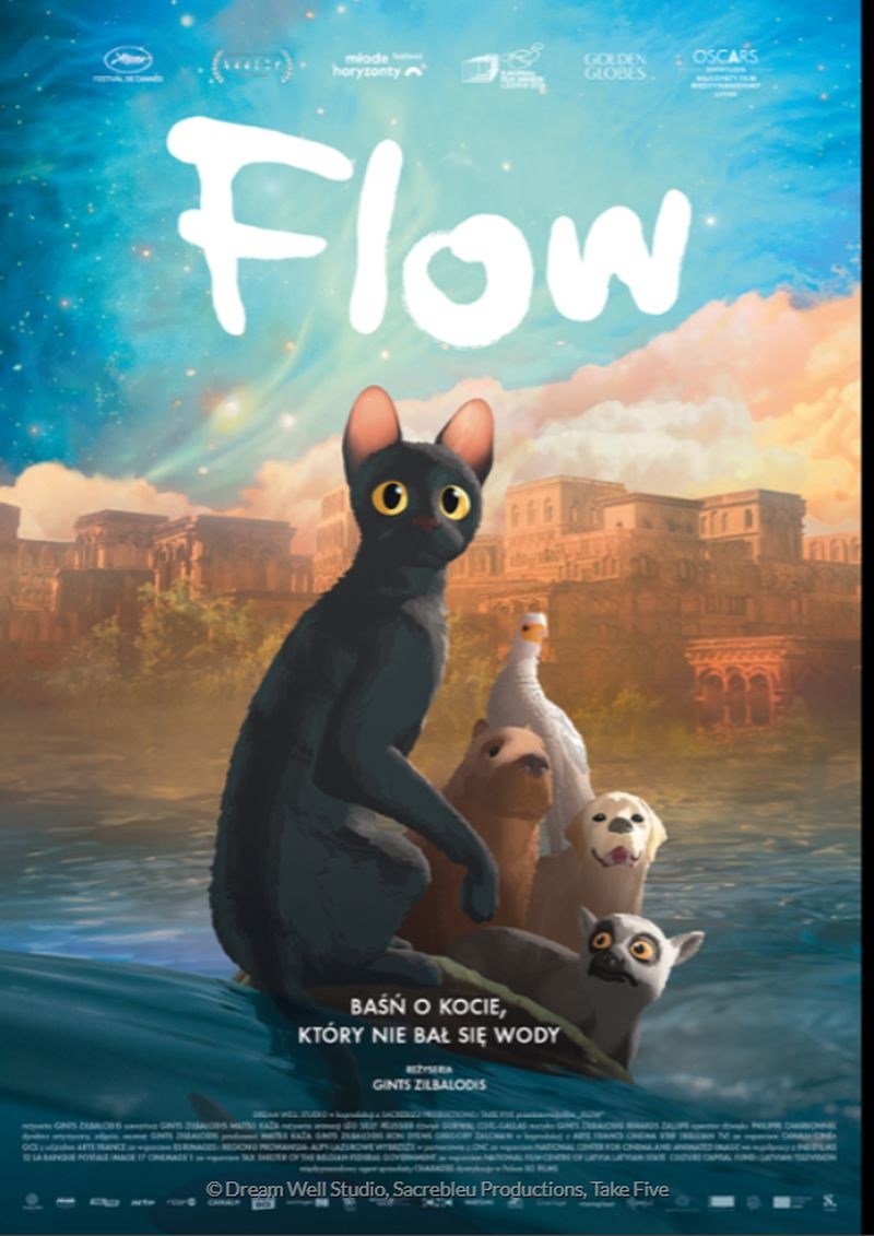 flow-1764836897.jpg