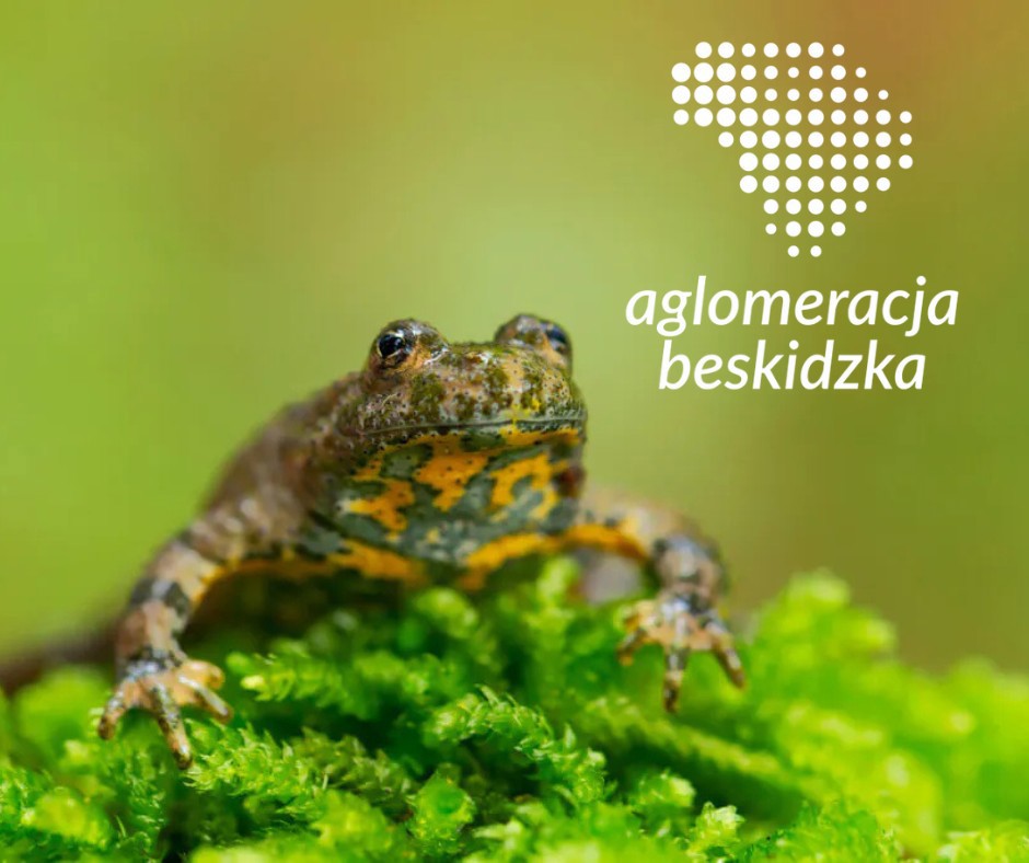zdjęcie.jpg