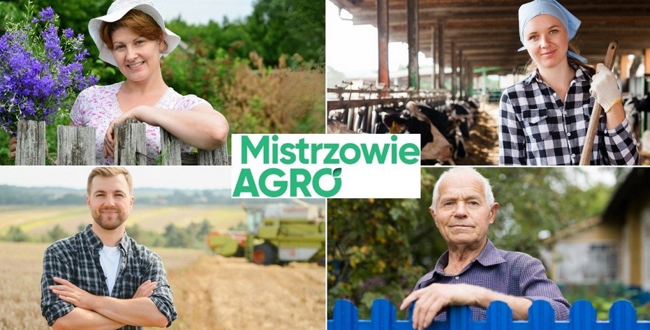 Zrzut ekranu 2025-11-21 121409.png