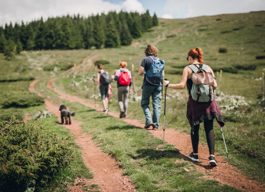 wyprawy harcerskie (3).png