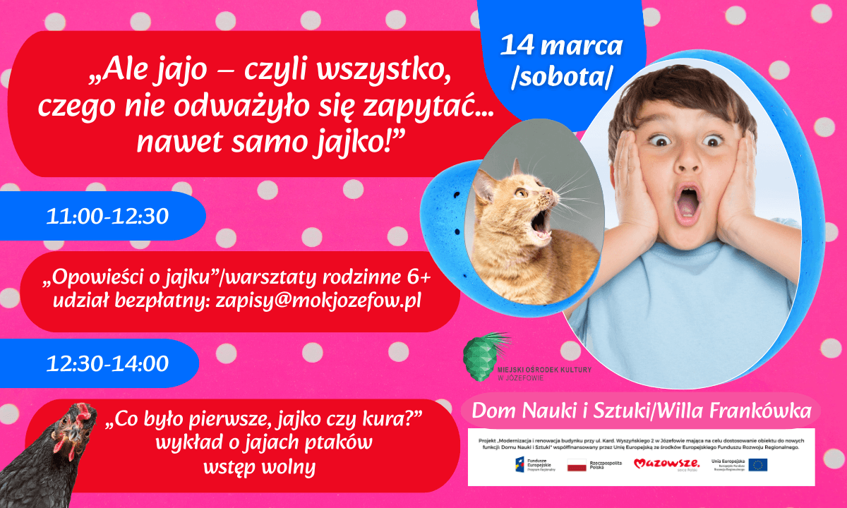 13.png