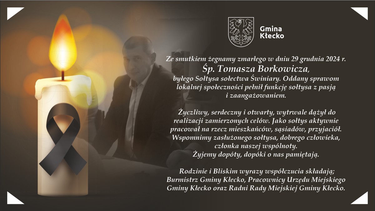 sp T Borokowicz.png