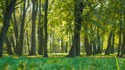 20241115_GR_pelczyce_park_mmieszkaniec.png
