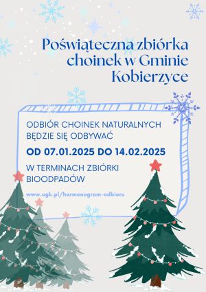 20250110_GR_choinki_mmieszkaniec.jpg