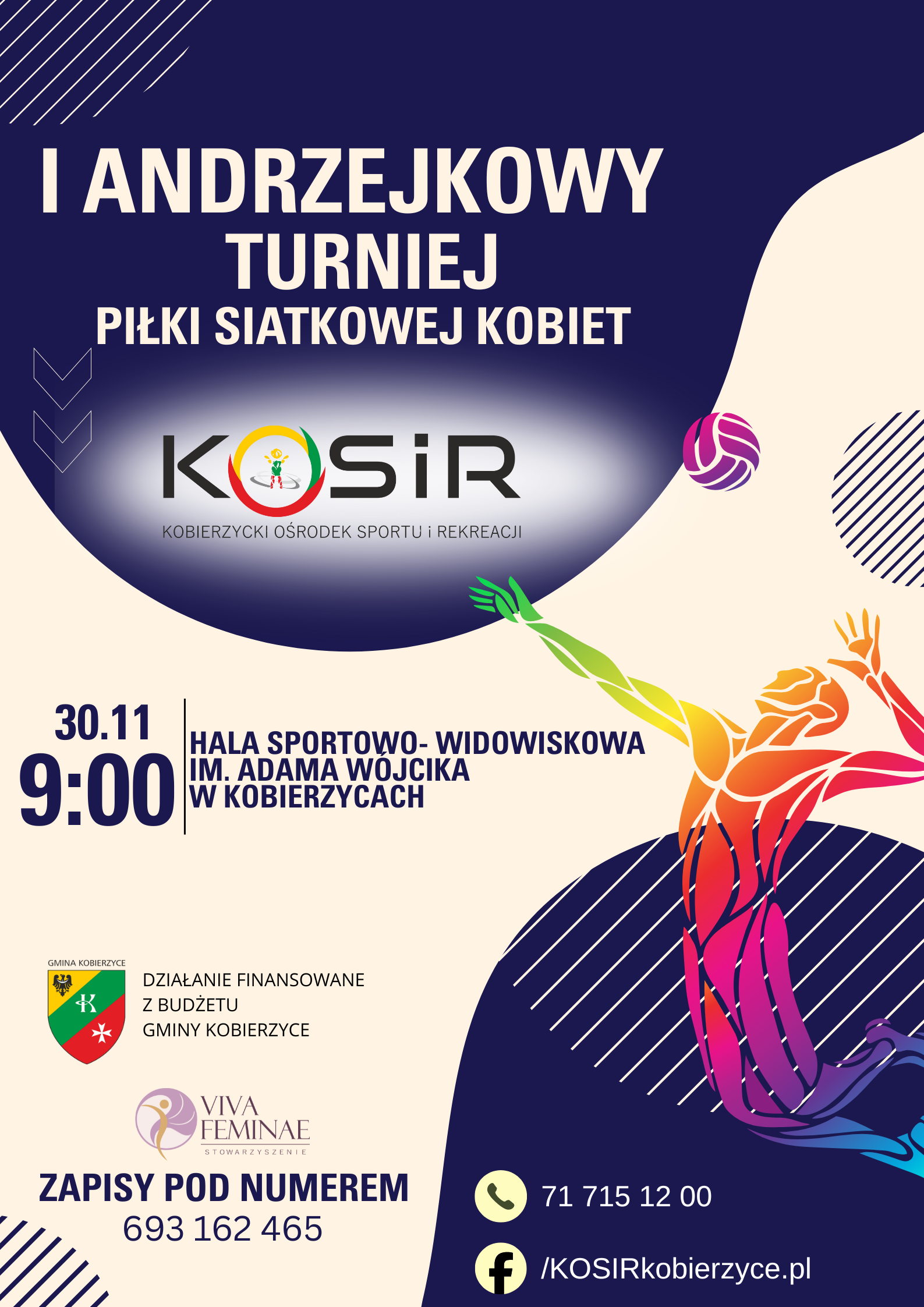 siatkowka_plakat.png