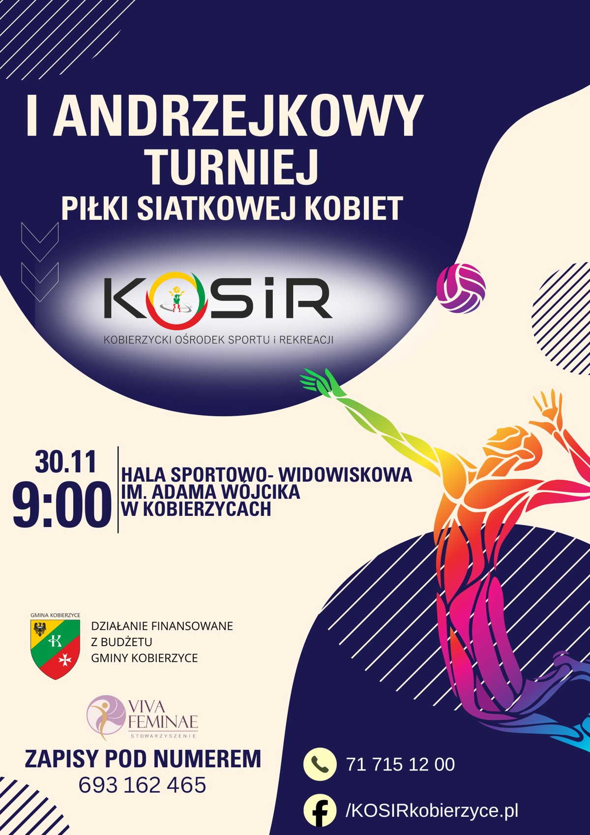 siatkowka_plakat.png