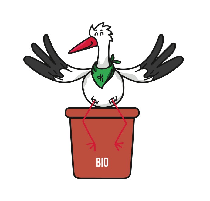 BOCIANbio.jpg