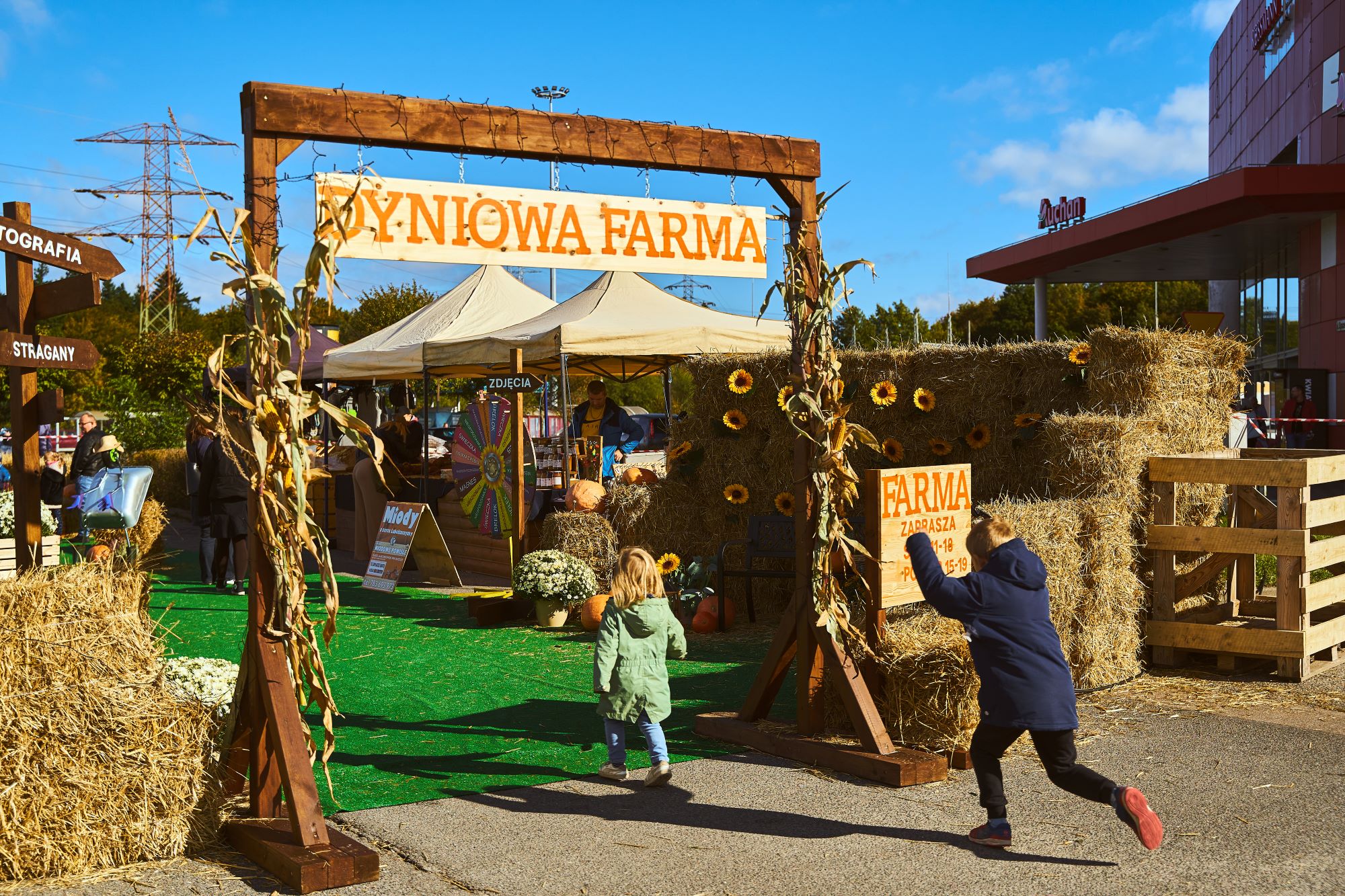 FARMA DYNIOWA_fot6.jpg