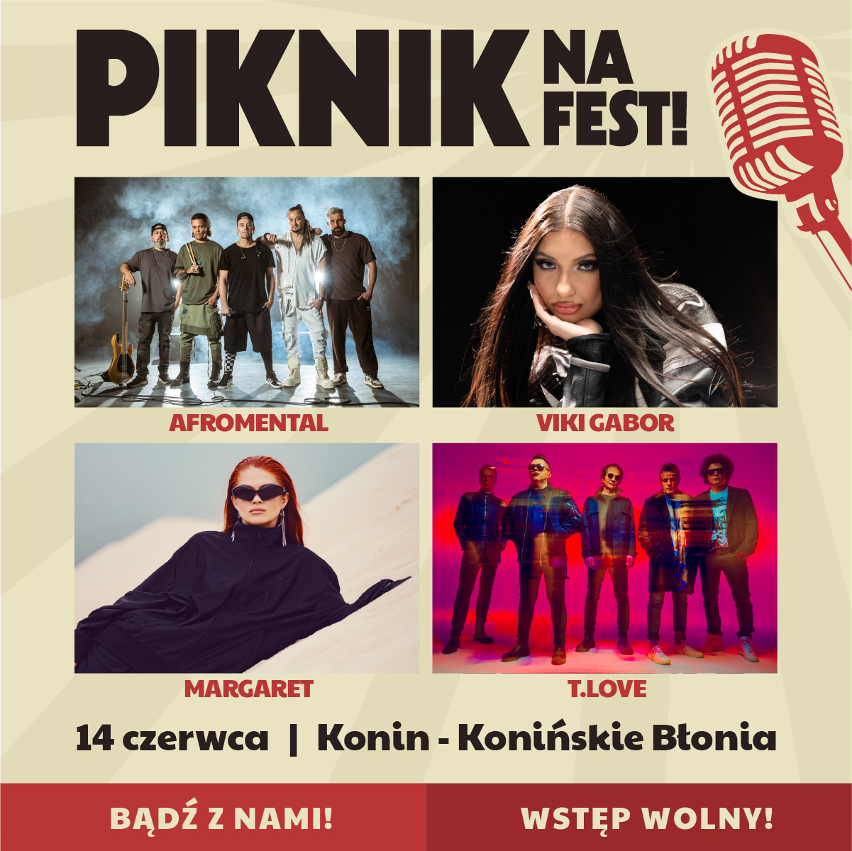 piknik_konin_5b.jpg