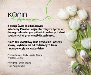 infoKonin 300x250 .png