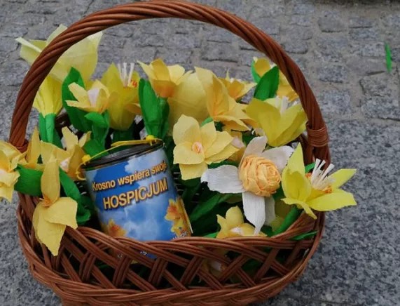 Pola Nadziei zdjęcie.jpg