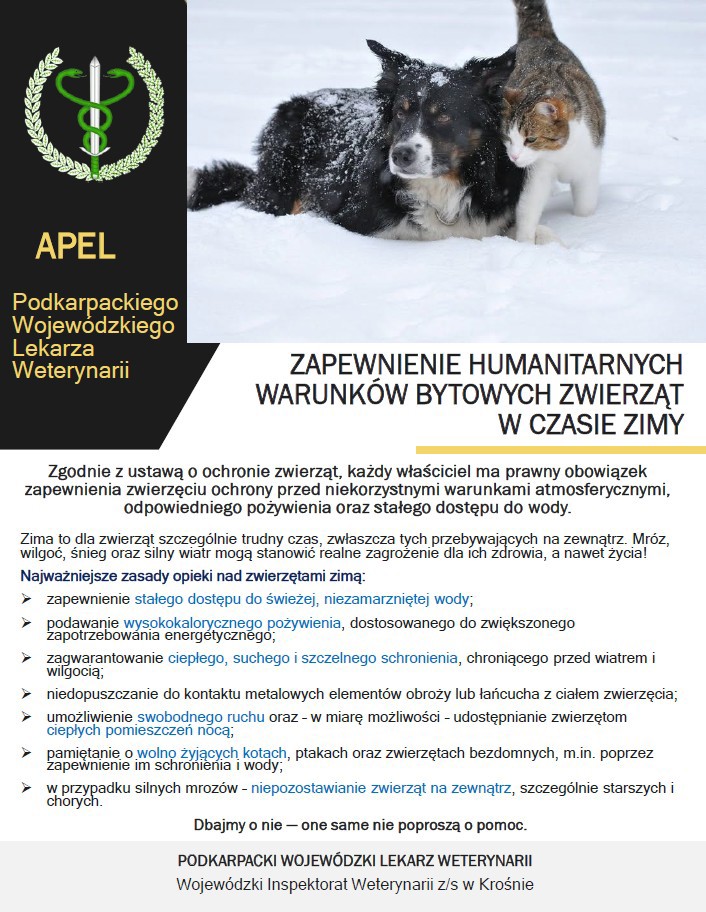 Zrzut ekranu 2026-01-23 131833.jpg