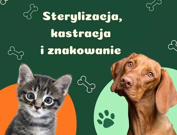 Plakat akcja sterylizacji.jpg