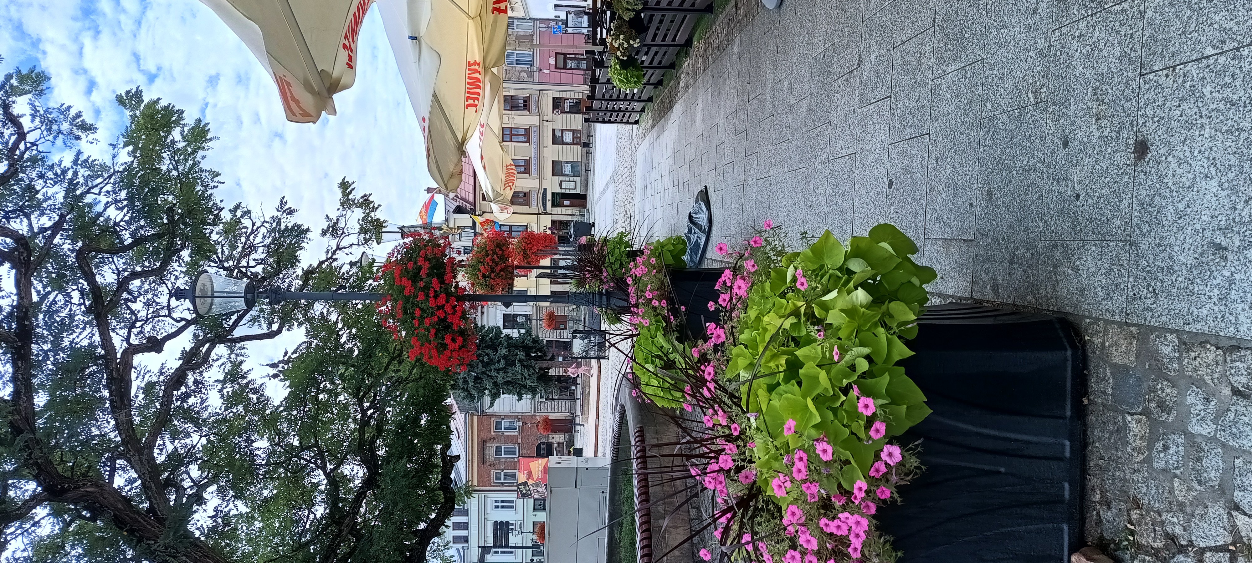 IMG_20250825_131608743_HDR.jpg
