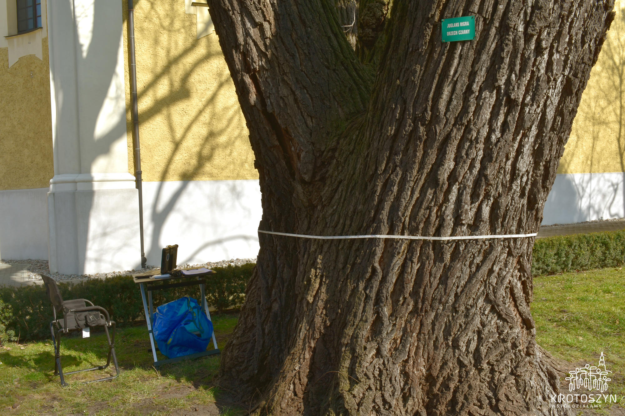 DSC_0172.jpg