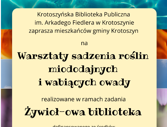 rss.png