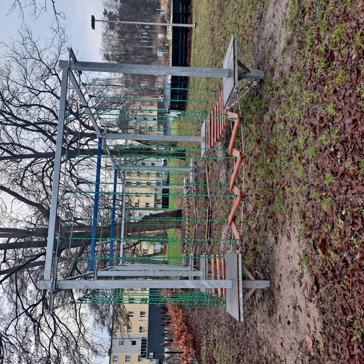 20250129_091242.jpg