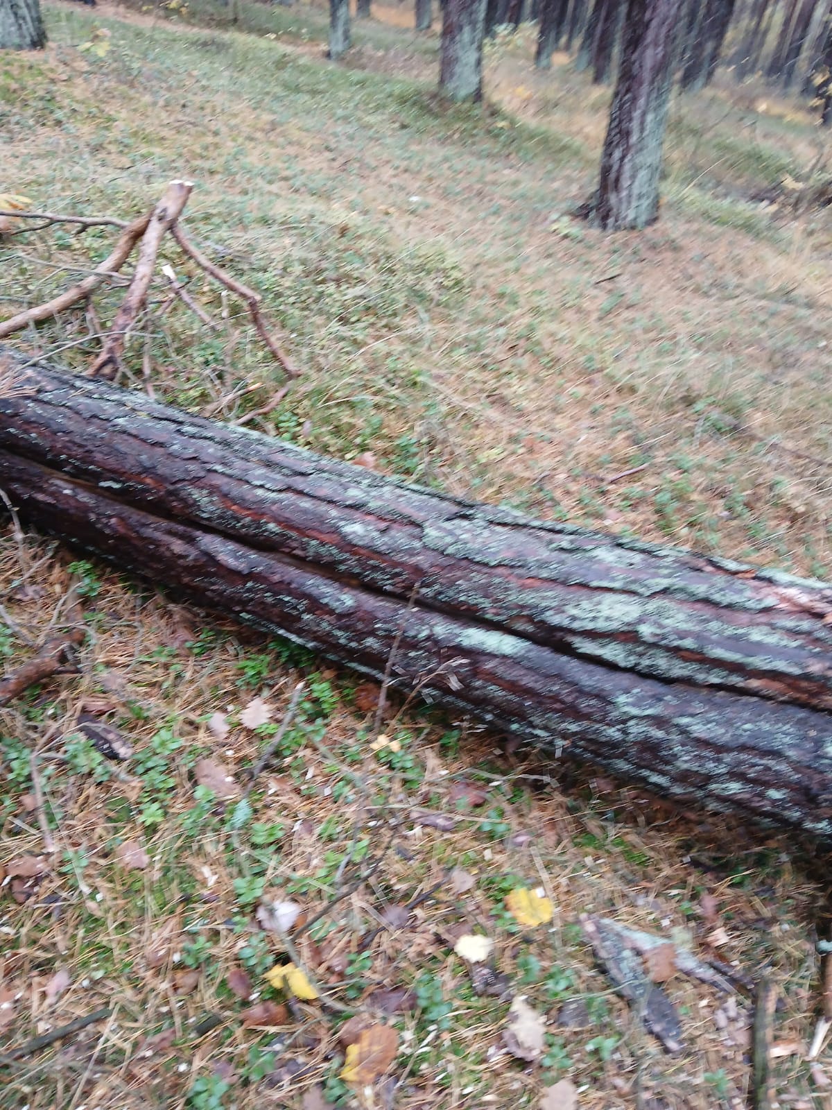 IMG-20251202-WA0000.jpg