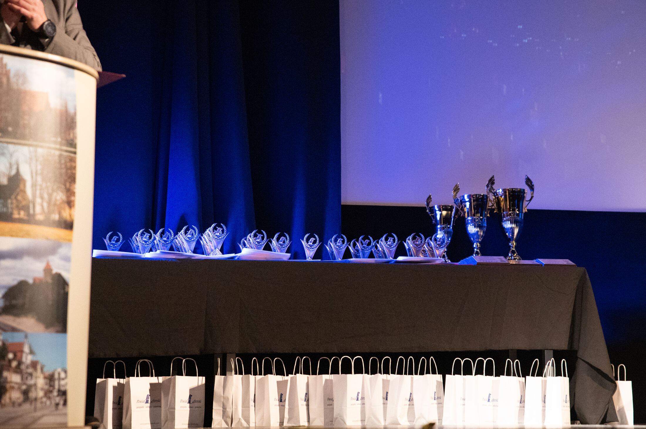 XIX Gala Sportu Powiatu Lęborskiego_2.jpg