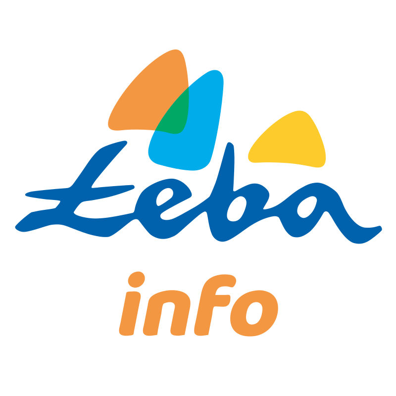 logo_leba-info.png