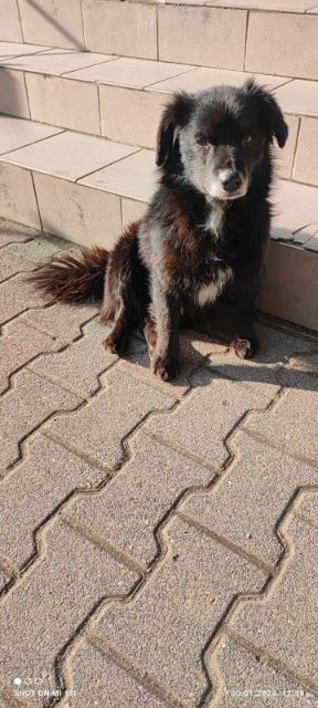 image000000(1).jpg