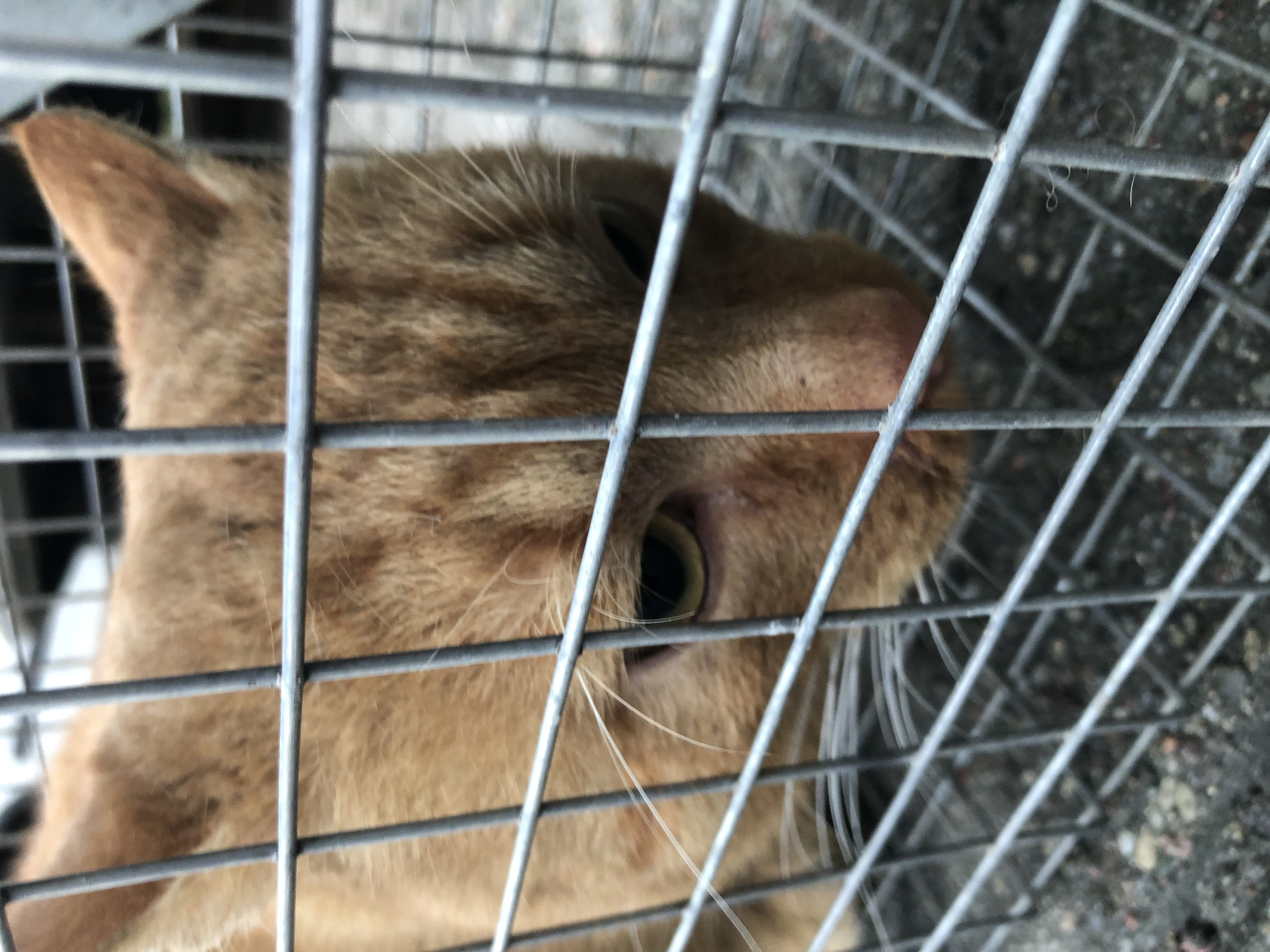 IMG_3704.jpg