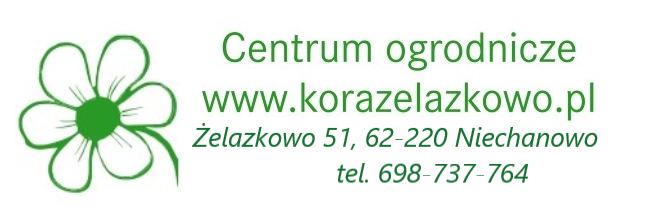 LOGO centrum adres.png