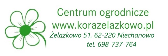 LOGO centrum adres.png