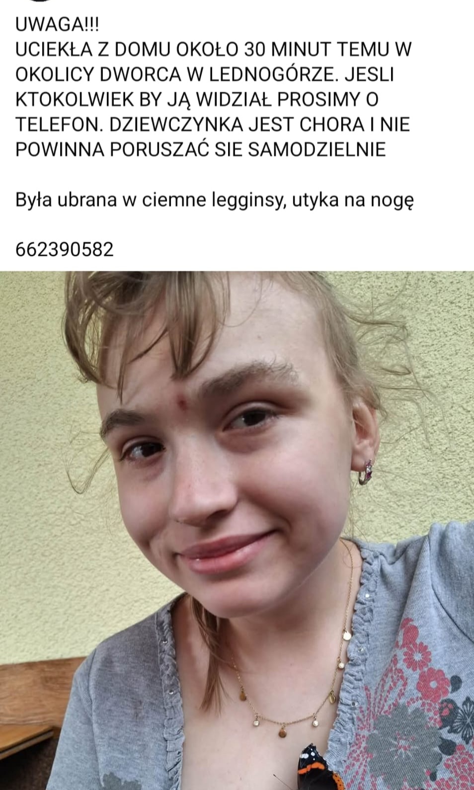 12648.jpg