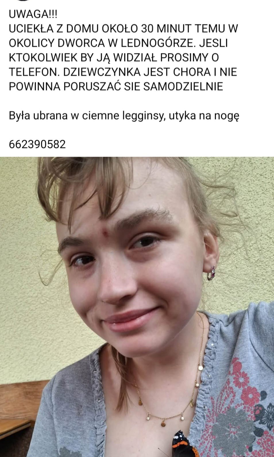 12648.jpg