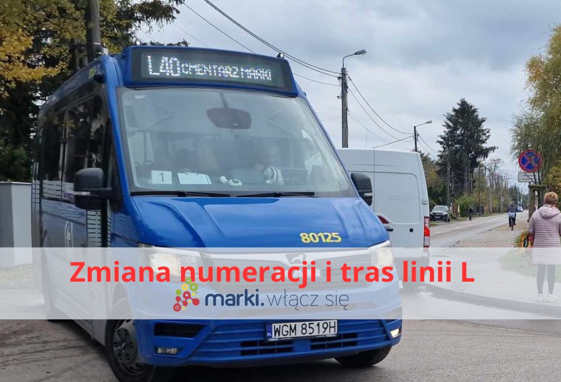 elki (1).jpg