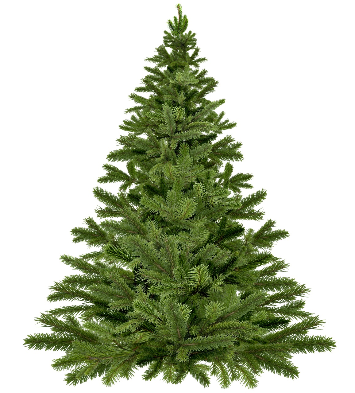 christmas-tree-christmas.jpg
