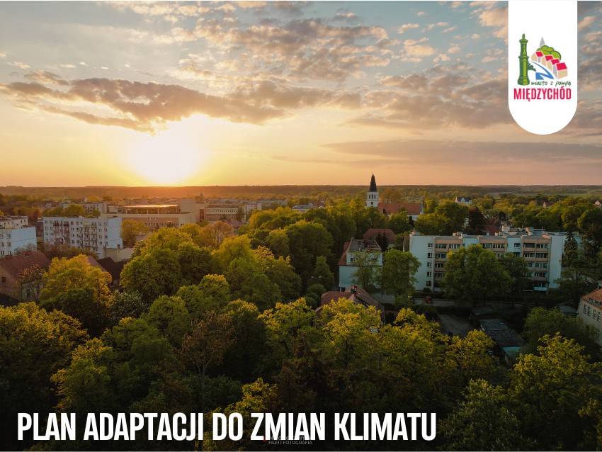 międzychód cover(103).png