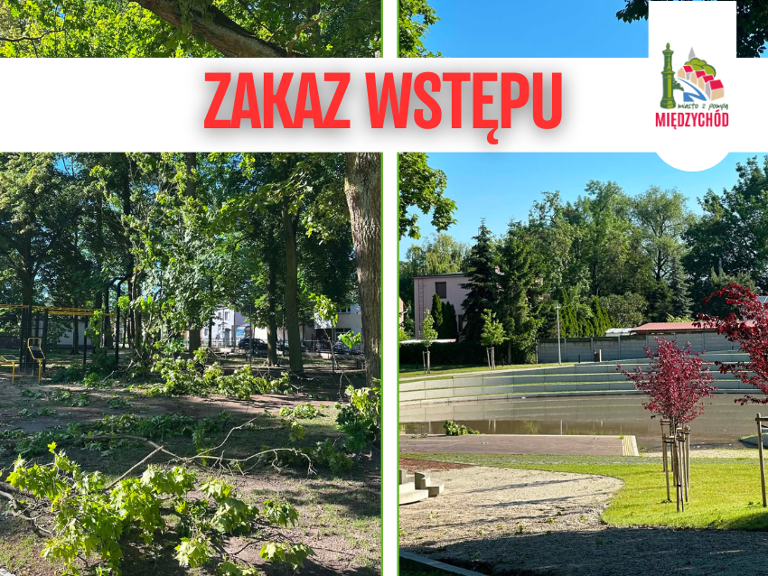 międzychód cover(107).png