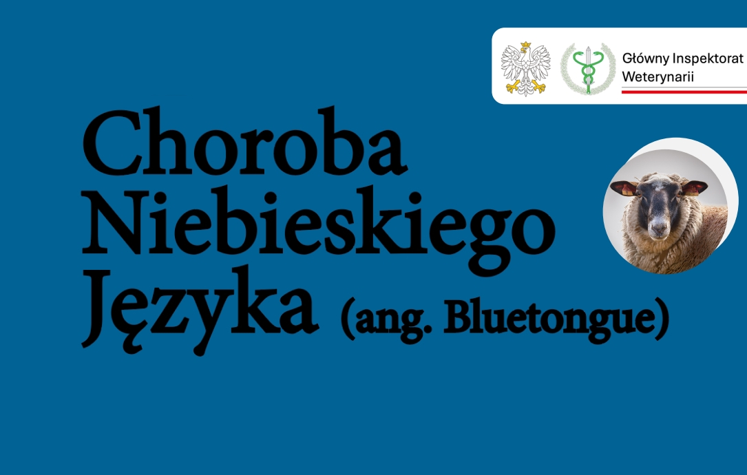 niebieski_jezyk.jpg