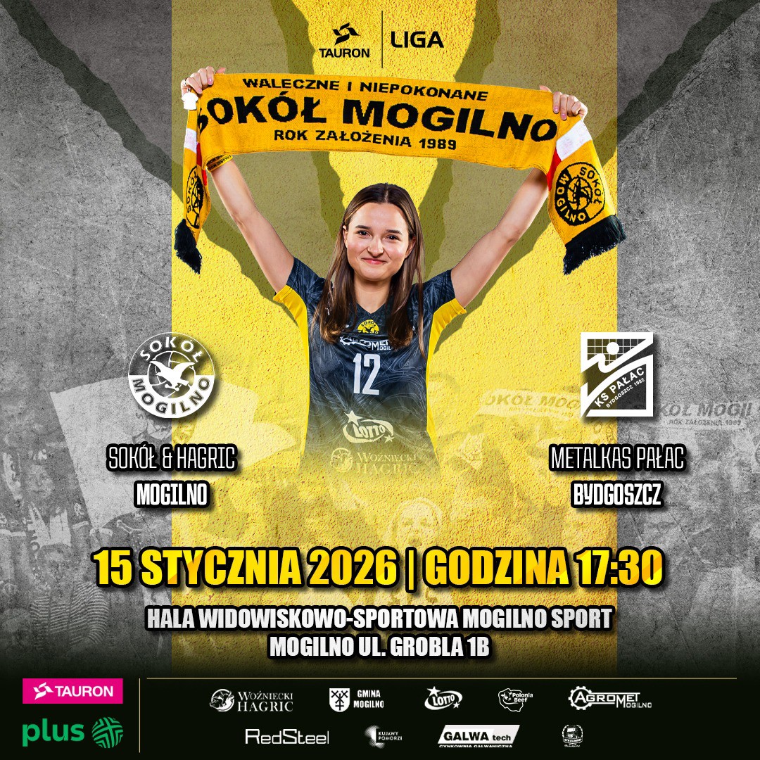 sokół.jpg