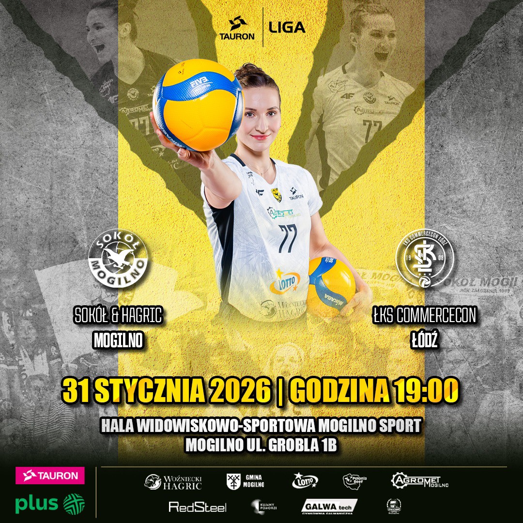 Sokół.jpg