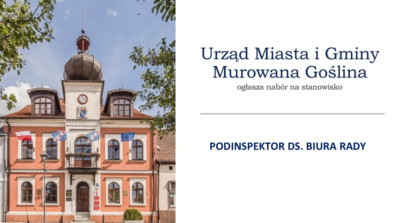 podINSPEKTOR DS BIURA RADY.jpg