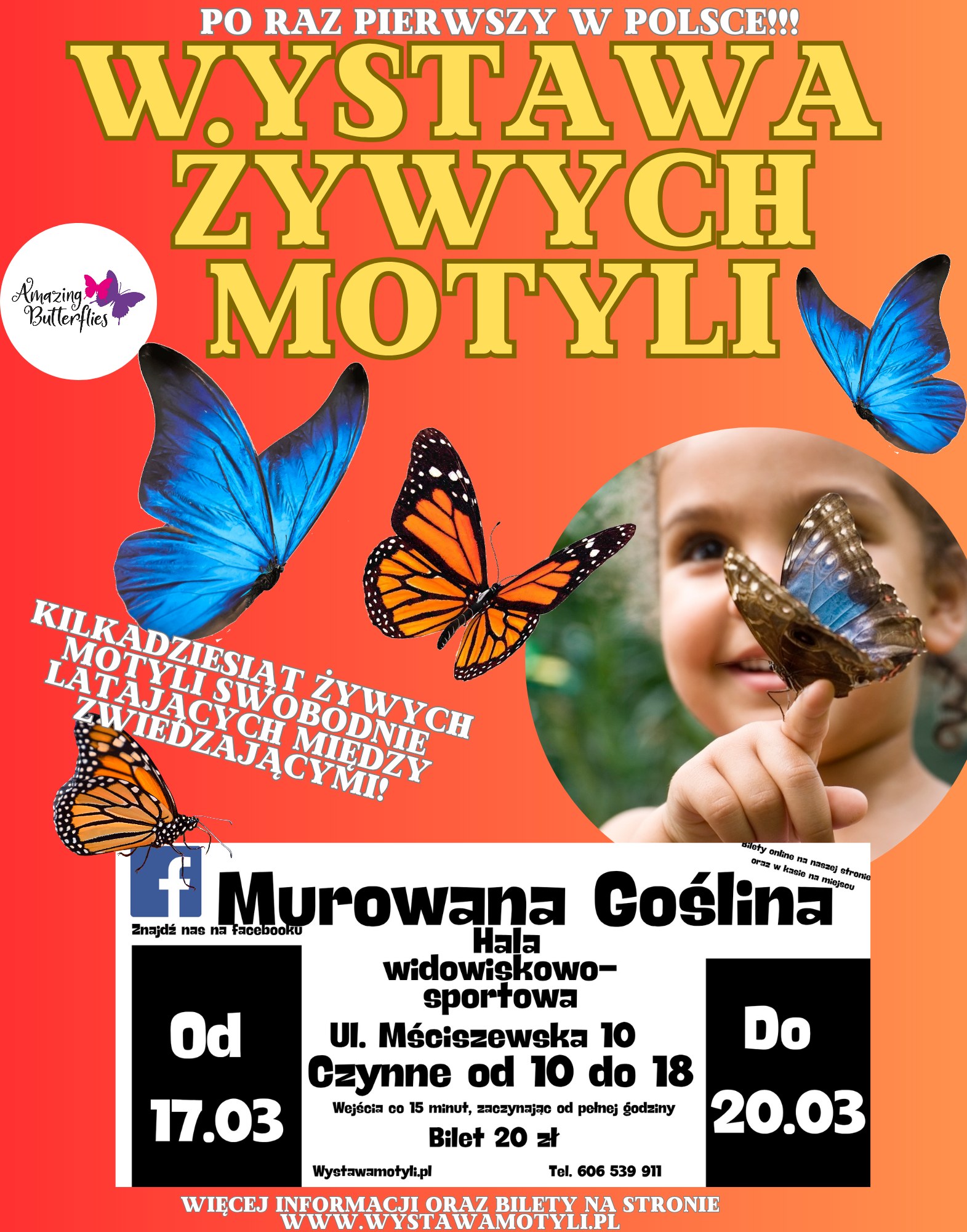 wystawa motyli.jpg