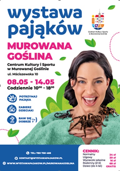 wystawa pająków.jpg