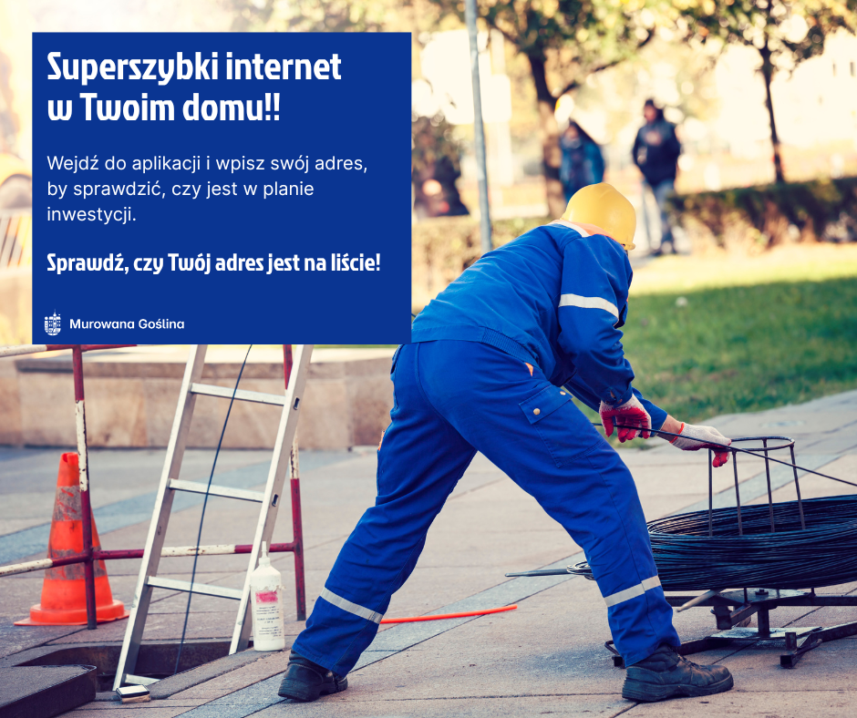 Murowana_Goślina_1.png