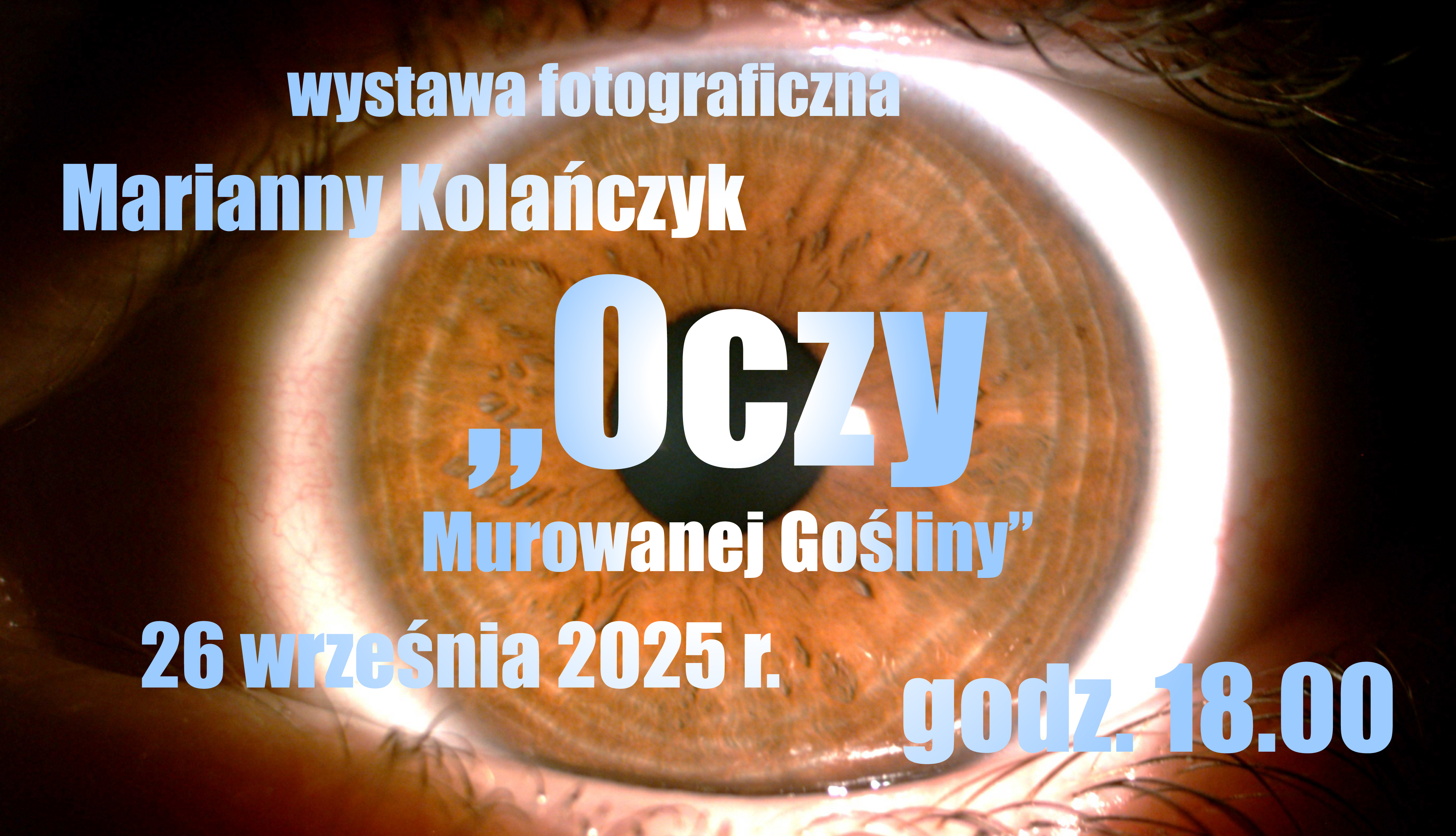 BanerWystawaFoto962x552.jpg
